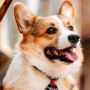 80后的孤独行者