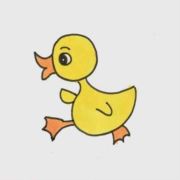 开心的小鸭子666