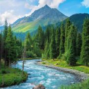 2025必是巅峰之年