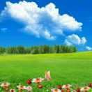 WX~187608609
