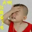 WX~187612704