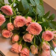 随风随缘随便吧