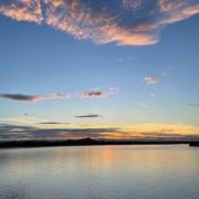 花开富贵吉祥幸福