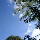 WX~187664276