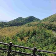 今生不会再遇见