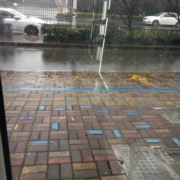 WX~187675285