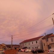 WX~187679311