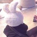 家有吃货傻大白