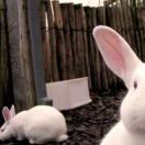 上虞游泳馆范教2