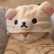 只暖你一人