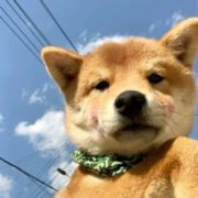 刚好吃好