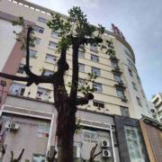 txl小兰