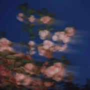 WX_星162
