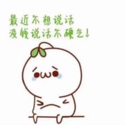 专业批发蔬菜N年