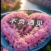 圆环又是我