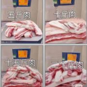 扶摇直上九万里17