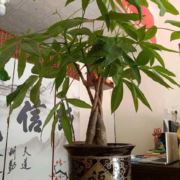 复大口腔李国芬