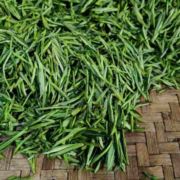 诸暨高山绿茶