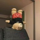 土耳其冰淇淋755