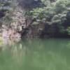 清道夫962