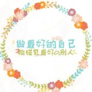 小白鸽YJT