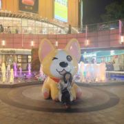 来日并不方长49