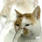 蛙趣你的