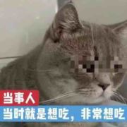 语文英语沈老师