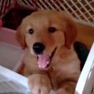 对方正在输入689