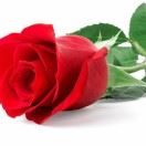 天台县群升门业