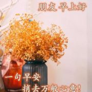 奔跑的辉太狼