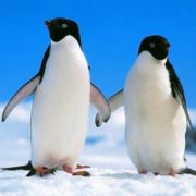 梦中的邂逅太美