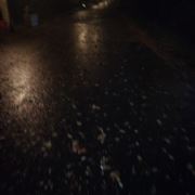 心碎无痕情难言