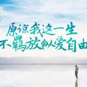 社会我余哥954