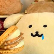 周yyzz