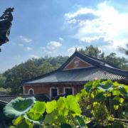 红尘困扰痴人一个