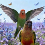 红豆薄荷味de泡芙