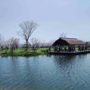 家家有本记账簿