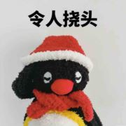 我不是猫你是真狗