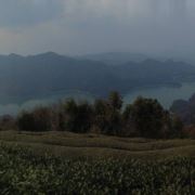 人家叫我胖姑娘