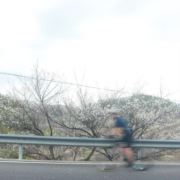 来捏尼莫