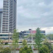 tcy~188220050
