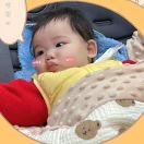 陈红花587