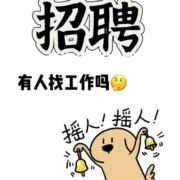 找工作了176