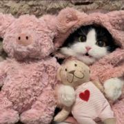 今天吃吃吃什么