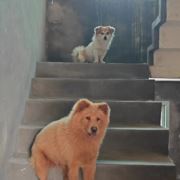 过往云烟839