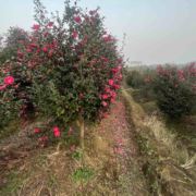 两人相遇需要缘分