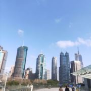tcy~188299092