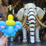 吉象壮壮代言人