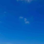 tcy~188304985